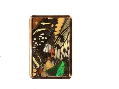 MIXED WING FRIDGE MAGNET